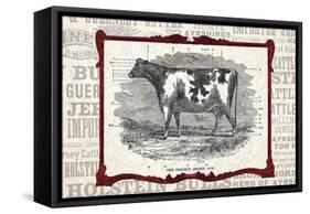 Framed Cow-null-Framed Stretched Canvas