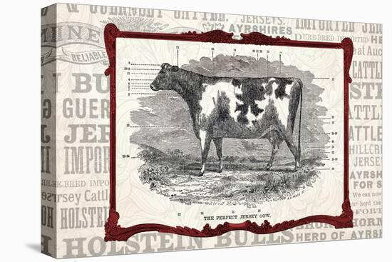 Framed Cow-null-Stretched Canvas