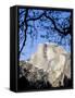 Framed Half Dome Seen from the Valley Floor, Yosemite, California, USA-Tom Norring-Framed Stretched Canvas