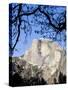 Framed Half Dome Seen from the Valley Floor, Yosemite, California, USA-Tom Norring-Stretched Canvas