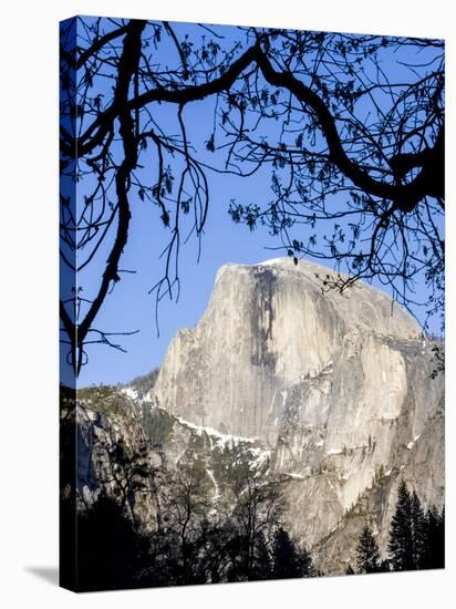 Framed Half Dome Seen from the Valley Floor, Yosemite, California, USA-Tom Norring-Stretched Canvas