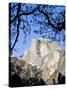 Framed Half Dome Seen from the Valley Floor, Yosemite, California, USA-Tom Norring-Stretched Canvas