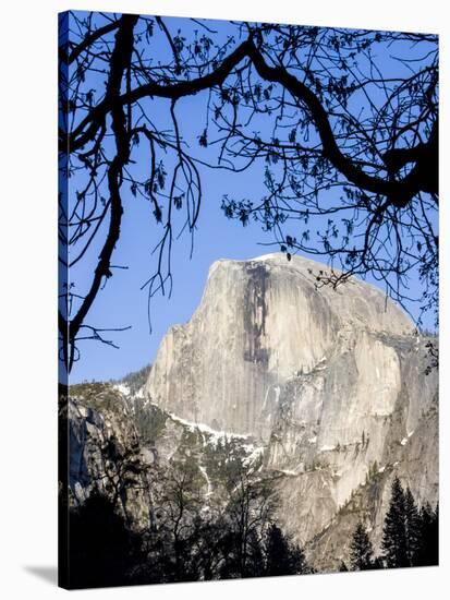 Framed Half Dome Seen from the Valley Floor, Yosemite, California, USA-Tom Norring-Stretched Canvas