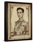 Framed Portrait of King Bhumibol Adulyadej-null-Framed Stretched Canvas