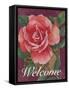 Framed Rose-Fiona Stokes-Gilbert-Framed Stretched Canvas