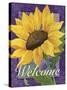 Framed Sunflower-Fiona Stokes-Gilbert-Stretched Canvas