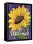 Framed Sunflower-Fiona Stokes-Gilbert-Framed Stretched Canvas