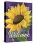 Framed Sunflower-Fiona Stokes-Gilbert-Stretched Canvas