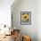 Framed Sunflower-Fiona Stokes-Gilbert-Framed Giclee Print displayed on a wall