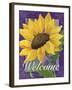 Framed Sunflower-Fiona Stokes-Gilbert-Framed Giclee Print