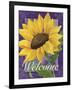 Framed Sunflower-Fiona Stokes-Gilbert-Framed Giclee Print