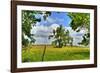 Framed Tree, Kansas, USA-Michael Scheufler-Framed Photographic Print