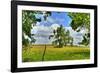 Framed Tree, Kansas, USA-Michael Scheufler-Framed Photographic Print