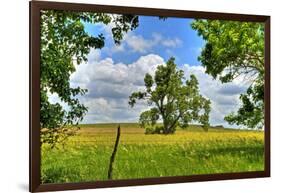 Framed Tree, Kansas, USA-Michael Scheufler-Framed Photographic Print