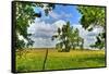Framed Tree, Kansas, USA-Michael Scheufler-Framed Stretched Canvas