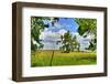 Framed Tree, Kansas, USA-Michael Scheufler-Framed Photographic Print