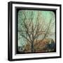 Frames of Travel III-Thomas Brown-Framed Photographic Print