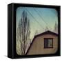 Frames of Travel IV-Thomas Brown-Framed Stretched Canvas