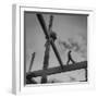 Framework for Motel on the Mountains Restaurant-Andreas Feininger-Framed Photographic Print