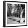 France, 1920 - The Park, Versailles-Eugene Atget-Framed Art Print