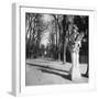 France, 1920 - The Park, Versailles-Eugene Atget-Framed Art Print