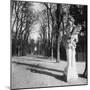 France, 1920 - The Park, Versailles-Eugene Atget-Mounted Art Print