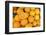 France, Aix-En-Provence. Oranges, Place Richelme Food Market-Kevin Oke-Framed Photographic Print