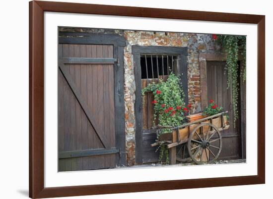 France, Alsace, Colmar. Rustic wooden wagon draped with plants.-Janis Miglavs-Framed Premium Photographic Print