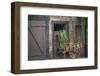 France, Alsace, Colmar. Rustic wooden wagon draped with plants.-Janis Miglavs-Framed Photographic Print