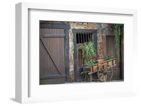 France, Alsace, Colmar. Rustic wooden wagon draped with plants.-Janis Miglavs-Framed Photographic Print