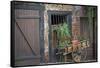 France, Alsace, Colmar. Rustic wooden wagon draped with plants.-Janis Miglavs-Framed Stretched Canvas