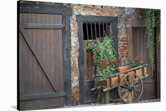 France, Alsace, Colmar. Rustic wooden wagon draped with plants.-Janis Miglavs-Stretched Canvas