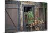 France, Alsace, Colmar. Rustic wooden wagon draped with plants.-Janis Miglavs-Mounted Photographic Print