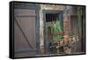 France, Alsace, Colmar. Rustic wooden wagon draped with plants.-Janis Miglavs-Framed Stretched Canvas