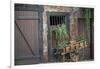 France, Alsace, Colmar. Rustic wooden wagon draped with plants.-Janis Miglavs-Framed Photographic Print