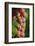 France, Alsace, Eguisheim. A bunch of Gewurztraminer grapes.-Janis Miglavs-Framed Photographic Print