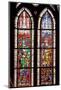 France, Alsace, Strasbourg, Strasbourg Cathedral, Stained Glass Window, Charles Martel and Charlema-Samuel Magal-Mounted Photographic Print