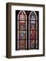 France, Alsace, Strasbourg, Strasbourg Cathedral, Stained Glass Window, Holy Roman Empire Emperors-Samuel Magal-Framed Photographic Print