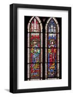 France, Alsace, Strasbourg, Strasbourg Cathedral, Stained Glass Window, Holy Roman Empire Emperors-Samuel Magal-Framed Photographic Print