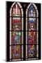 France, Alsace, Strasbourg, Strasbourg Cathedral, Stained Glass Window, Holy Roman Empire Emperors-Samuel Magal-Mounted Photographic Print