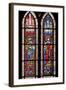France, Alsace, Strasbourg, Strasbourg Cathedral, Stained Glass Window, Holy Roman Empire Emperors-Samuel Magal-Framed Photographic Print