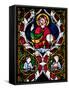 France, Alsace, Strasbourg, Strasbourg Cathedral, Stained Glass Window, Jesus-Samuel Magal-Framed Stretched Canvas