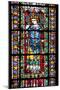 France, Alsace, Strasbourg, Strasbourg Cathedral, Stained Glass Window, Maximinus Thrax-Samuel Magal-Mounted Photographic Print