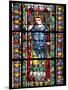France, Alsace, Strasbourg, Strasbourg Cathedral, Stained Glass Window, Maximinus Thrax-Samuel Magal-Mounted Photographic Print