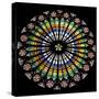 France, Alsace, Strasbourg, Strasbourg Cathedral, Stained Glass Window, Rose Window-Samuel Magal-Stretched Canvas