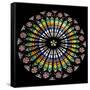 France, Alsace, Strasbourg, Strasbourg Cathedral, Stained Glass Window, Rose Window-Samuel Magal-Framed Stretched Canvas