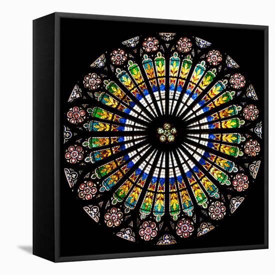 France, Alsace, Strasbourg, Strasbourg Cathedral, Stained Glass Window, Rose Window-Samuel Magal-Framed Stretched Canvas