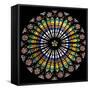 France, Alsace, Strasbourg, Strasbourg Cathedral, Stained Glass Window, Rose Window-Samuel Magal-Framed Stretched Canvas