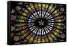 France, Alsace, Strasbourg, Strasbourg Cathedral, Stained Glass Window, Rose Window-Samuel Magal-Framed Stretched Canvas