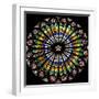 France, Alsace, Strasbourg, Strasbourg Cathedral, Stained Glass Window, Rose Window-Samuel Magal-Framed Photographic Print